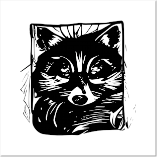 Raccoon Posters and Art